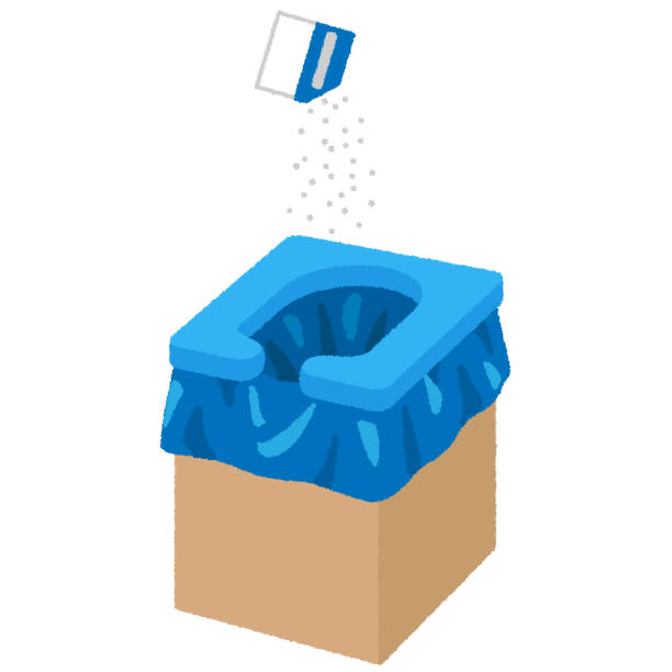 Best Local porta potty services  in Fort Mill, SC